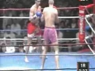 Andy Hug vs Peter Kramer K-1-GP 1995