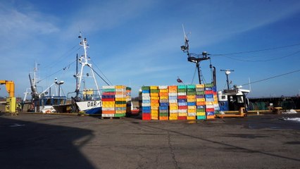 Zimowy dzień w Porcie Władysławowo cz.1 - 08.02.2016