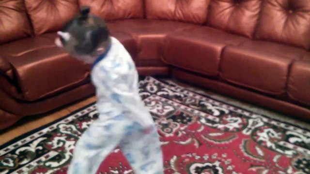 Дети танцуют. Танец для детей 3-4 лет (энергичный танец)