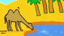 Camello - Louie dibujame un camello | Dibujos animados para niños