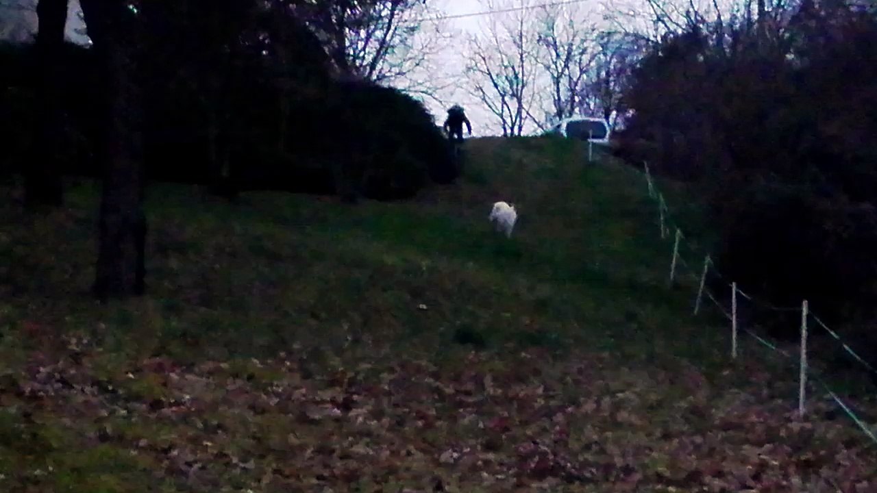 petite descente en VTT