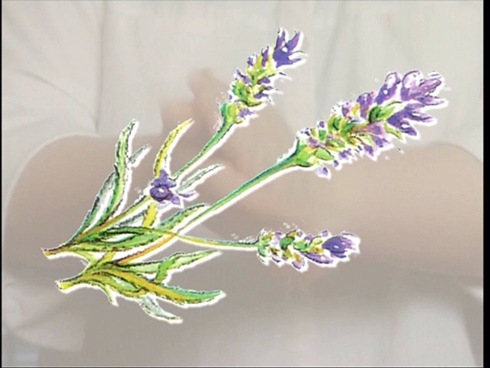 Massage Relaxant