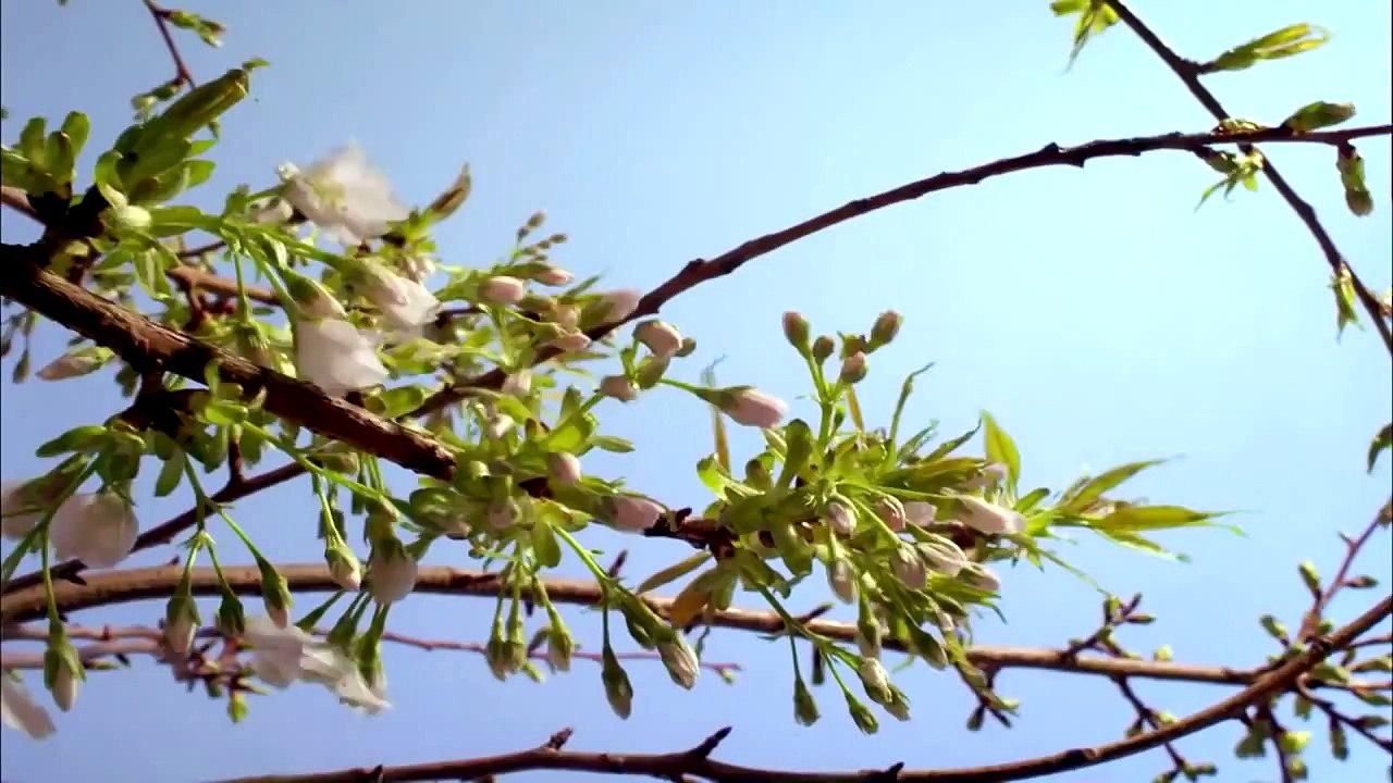 Planet Earth Most Amazing Beautiful Places HD