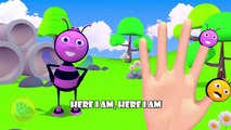 Bee 3D Finger Family | Nursery Rhymes | 3D Animation In HD From Binggo Channel