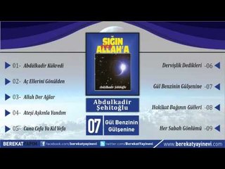 Abdülkadir Şehitoğlu - Gül Benzinin Gülşenine