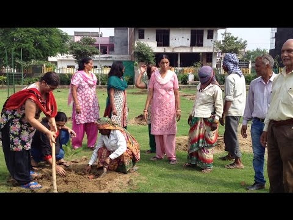 Local Residents of Sector 72 Noida planting trees