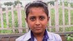 HCL Plant For Life: Shiv Nadar School, Noida