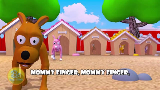 Dog 3D Finger Family | Nursery Rhymes | 3D Animation In HD From Binggo Channel