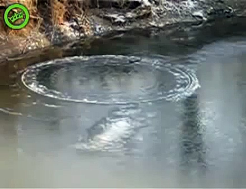 явление природы