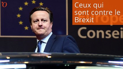 Brexit : 1 minute pour savoir qui est pour et qui est contre