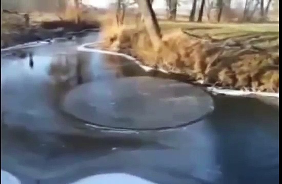 явление природы