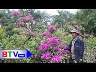 Làng Phú Lâm: Làm giàu từ thú chơi hoa, cây cảnh | BTV