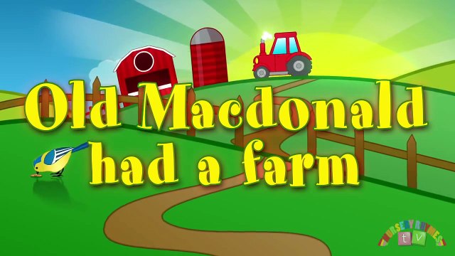 OLD MacDONALD HAD A FARM | Nursery Rhymes TV. Toddler Kindergarten Preschool Baby Songs.