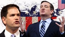 Ted Cruz forced to fire spokesman for spreading false story about Rubio