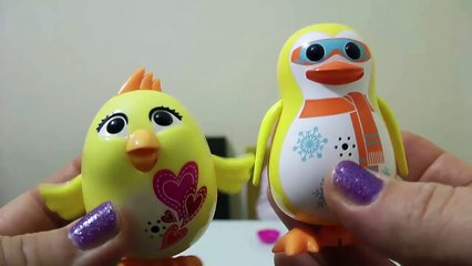 Digi Penguen ve Digi Civciv Tanıtımı