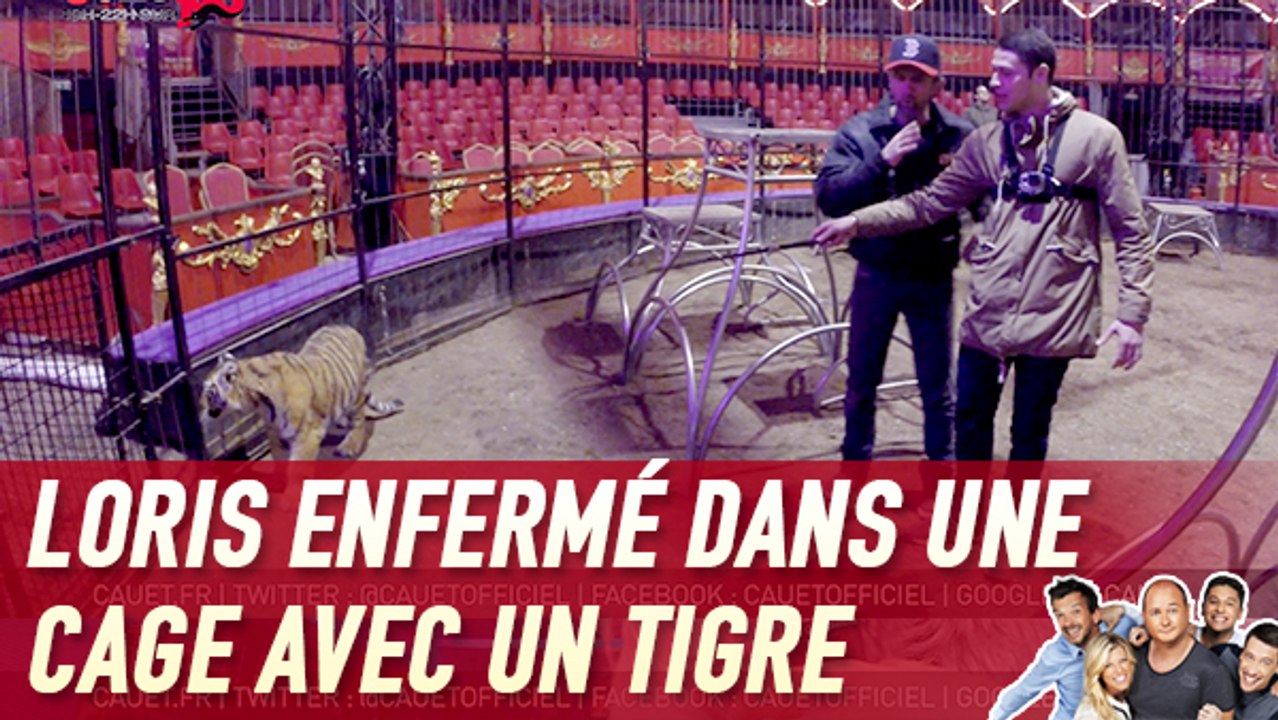 Loris enfermé dans une cage avec un tigre - C'Cauet sur NRJ