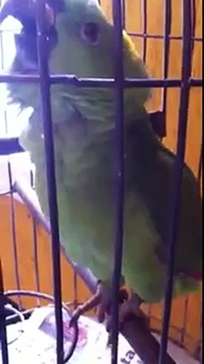 VID-20160217-WA0000