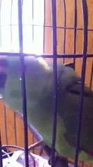 Q cara terrível!!  KKK