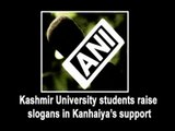 Kashmir University students raise slogans in Kanhaiya’s support