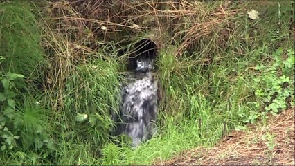 Gégé & Kiki : repérage à Sabran