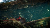 Unravel Secret 4.3
