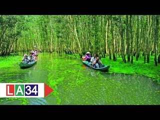 Doanh thu du lịch Long An tăng mạnh năm 2015 | LATV