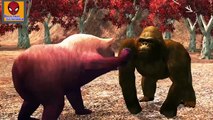 Семья пальчиков 3D ГОРИЛЛА против МЕДВЕДЯ | Bear vs Gorilla Finger Family 3D in Russian