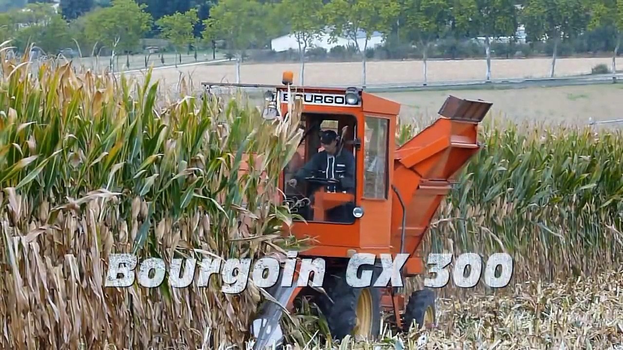Corn harvest with Bourgoin Gx 300