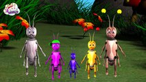 Cute Ant Finger Family | 3D Animals Finger Family Nursery Rhymes for Children