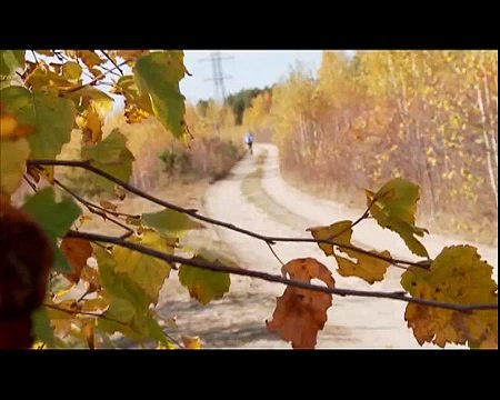 Байкджоринг и каникросс- летний спорт для ездовых собак и.их хозяев!