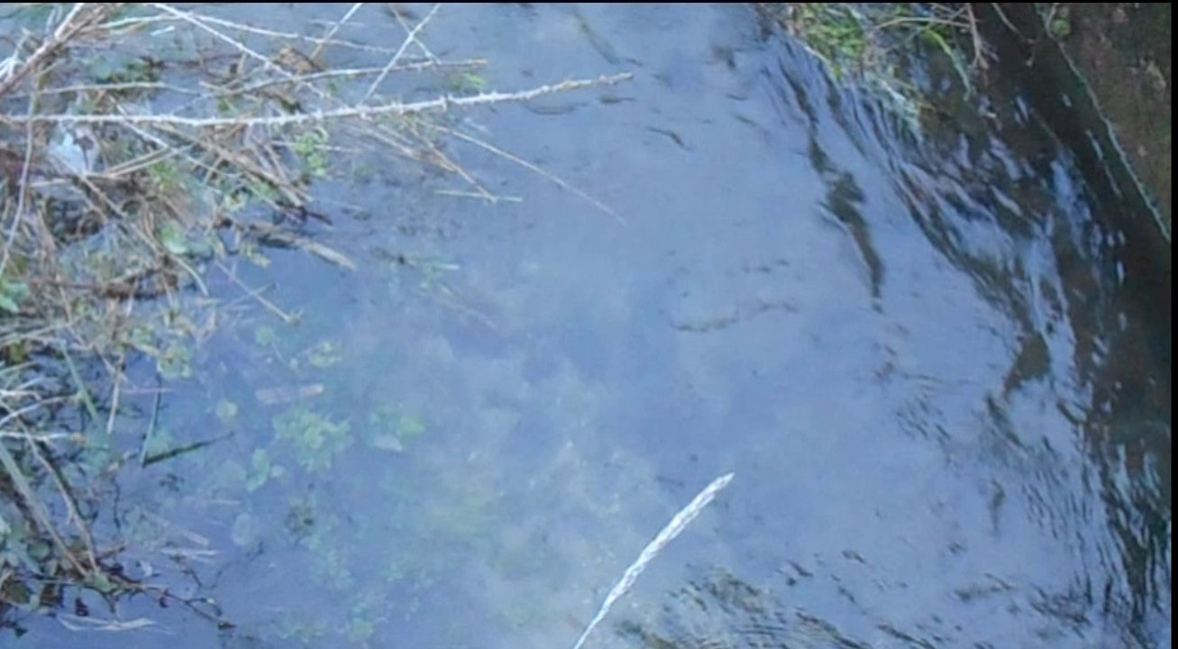 Le Rayon vert de Berthegille