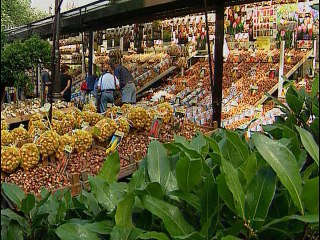 Amsterdam guide complet - Documentaire 2