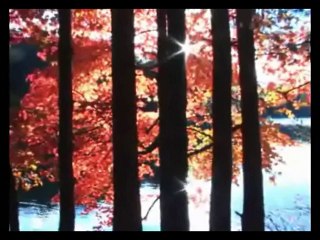 NehirSesli.Com - Gülüm Gülüm Osman Öztunç SesliSohbet SesliChat SesliSiteler