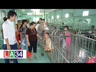 Việt kiều hướng về trẻ em khuyết tật | LATV