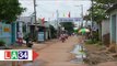 Cần Giuộc: Phủ nhựa những nẻo đường xóm thôn | LATV
