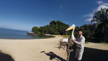 GoPro - Pelican Learns To Fly
