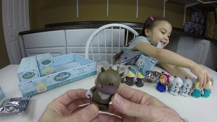 NEW DISNEY FROZEN CUTEST Surprise Toys Case Vinylmations 16 Blind Boxes