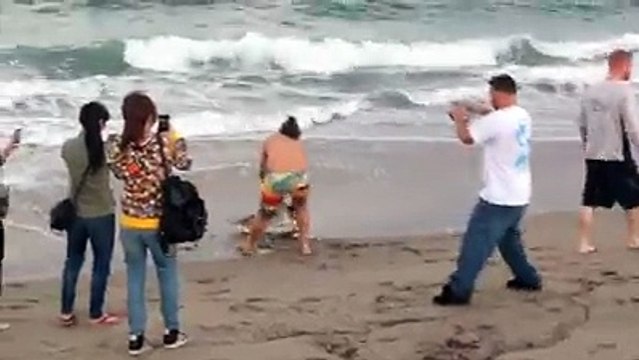 Un imbécile capture un requin échoué pour se photographier avec