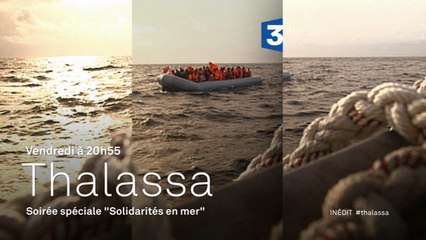 Soirée spéciale "Solidarités en Mer" - Bande-annonce Thalassa