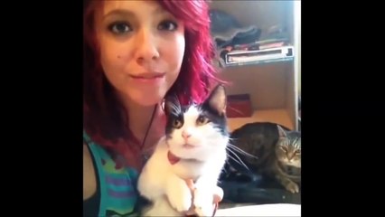 Los Mejores Vines de Gatos del 2015! Recopilación Gatos Graciosos