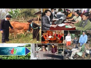 Vai trò của Ngân hàng Chính sách xã hội | HDTV