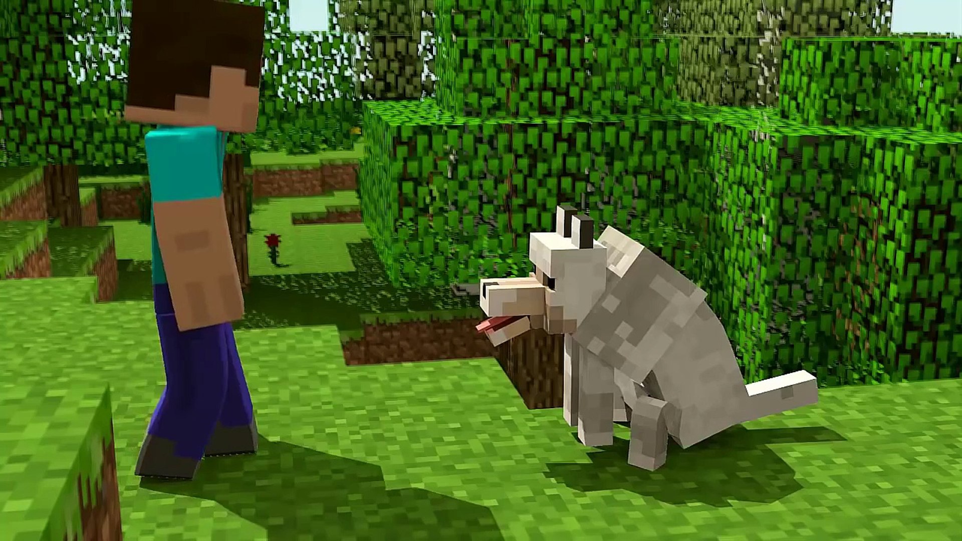 When Steve Met The Wolf Minecraft Animation Dailymotion Video