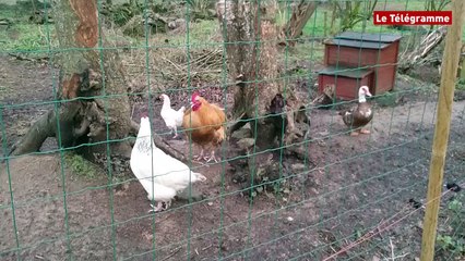 pierre.pp2a@gmail.com