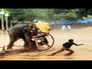 5 CRAZIEST Circus Events GONE WRONG!