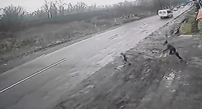 L'incroyable sauvetage d'un enfant par son papa