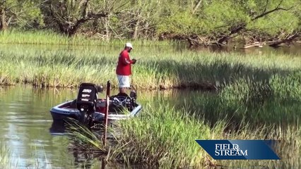 Becoming a Bass Pro (1 of 4)