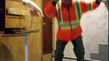 Talking Parrot vs Human