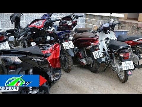Triệt phá đường dây trộm cắp xe máy | LTV