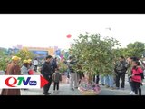 Ba Chẽ: Khai mạc Lễ hội Trà hoa vàng