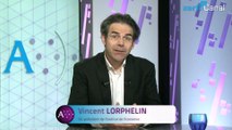 Vincent Lorphelin, Xerfi Canal Economie collaborative ou hypercapitalisme ?